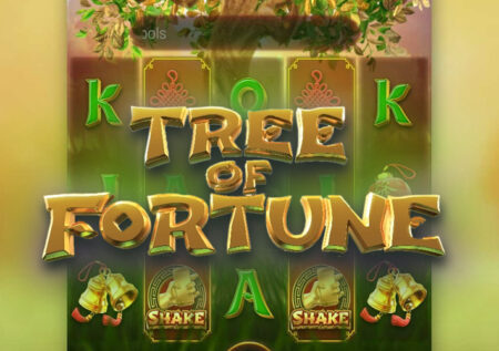 Tree Of Fortune от Pg Soft: Обзор слота по теме Азии