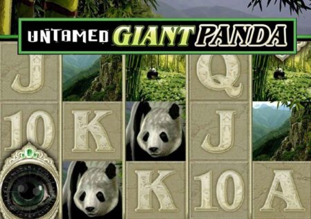 Обзор игрового автомата Untamed Giant Panda от Microgaming