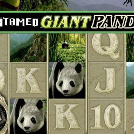 Обзор игрового автомата Untamed Giant Panda от Microgaming