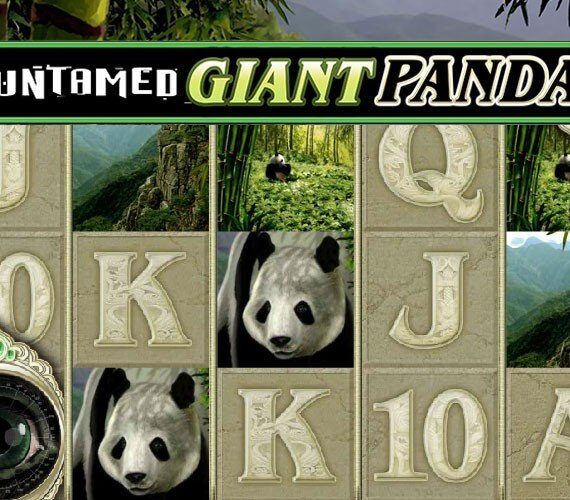 Обзор игрового автомата Untamed Giant Panda от Microgaming