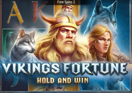 Vikings Fortune: Hold and Win от Playson – обзор игры