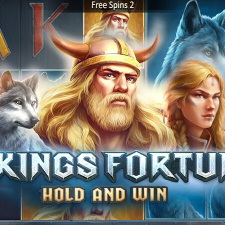 Vikings Fortune: Hold and Win от Playson – обзор игры