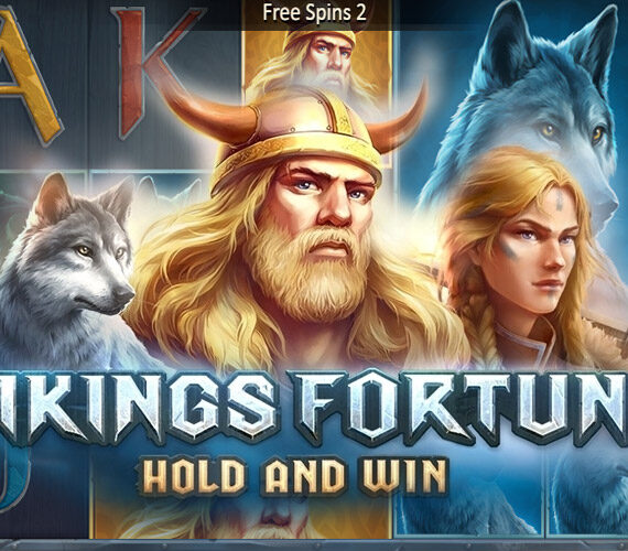 Vikings Fortune: Hold and Win от Playson – обзор игры