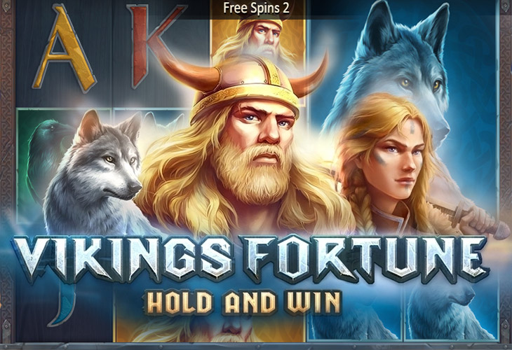 Vikings Fortune: Hold and Win - Playson