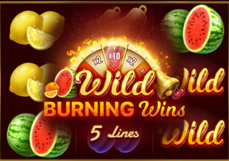 Wild Burning Wins 5 Lines от Playson: Обзор игрового автомата
