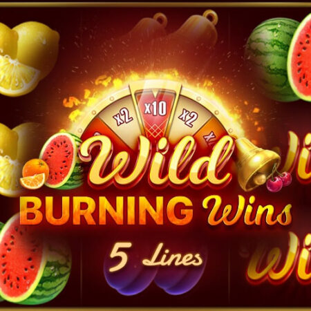 Wild Burning Wins 5 Lines от Playson: Обзор игрового автомата