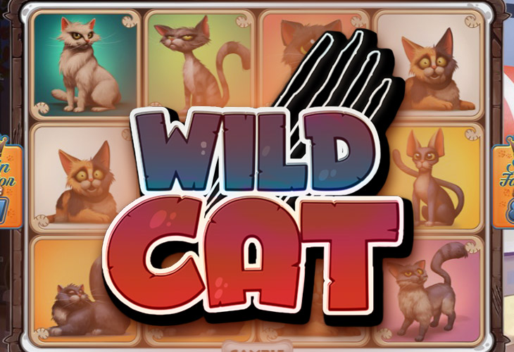 Wild Cat - Spinmatic