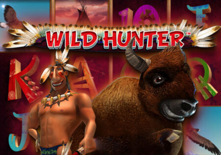 Игра Wild Hunter от Playson: приключенческий автомат