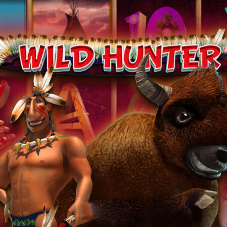 Игра Wild Hunter от Playson: приключенческий автомат