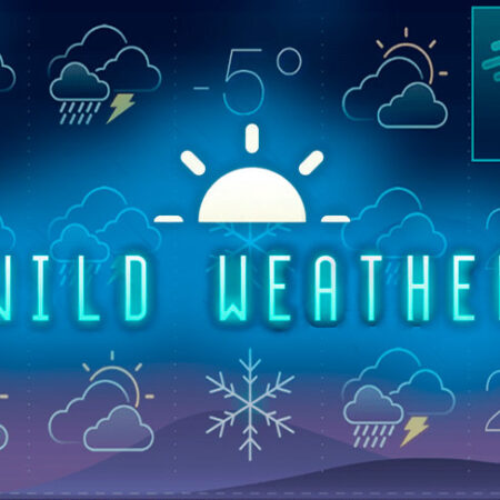 Wild Weather от Tom Horn: Обзор игрового автомата