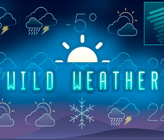 Wild Weather от Tom Horn: Обзор игрового автомата