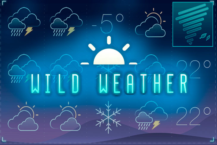Wild Weather - Tom Horn