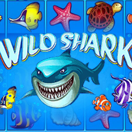 Wild Shark от Amatic: Обзор игрового автомата