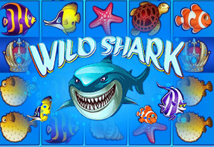 Wild Shark - Amatic