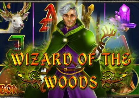 Wizard of the Woods от 2By2 Gaming: Обзор игрового автомата