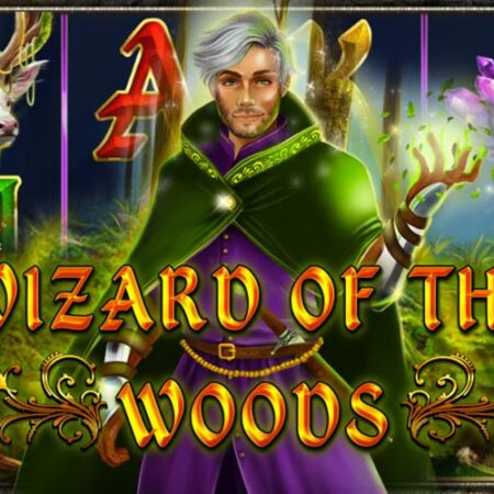 Wizard of the Woods от 2By2 Gaming: Обзор игрового автомата