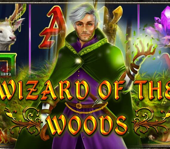 Wizard of the Woods от 2By2 Gaming: Обзор игрового автомата