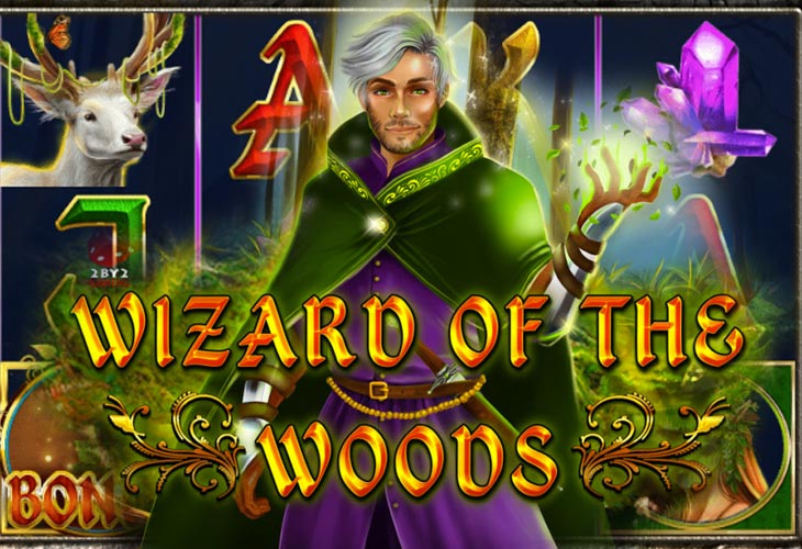 Wizard of the Woods - 2By2 Gaming