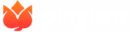 playbro