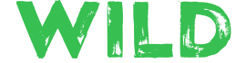 Онлайн-казино Wild