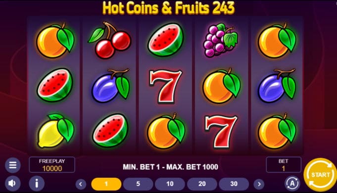 Скриншот слота Hot Coins & Fruits 243 от 1spin4win