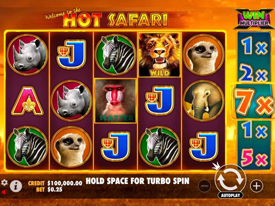 Скриншот слота Hot Safari от Pragmatic Play