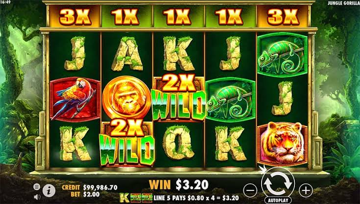 Скриншот слота Jungle Gorilla от Pragmatic Play