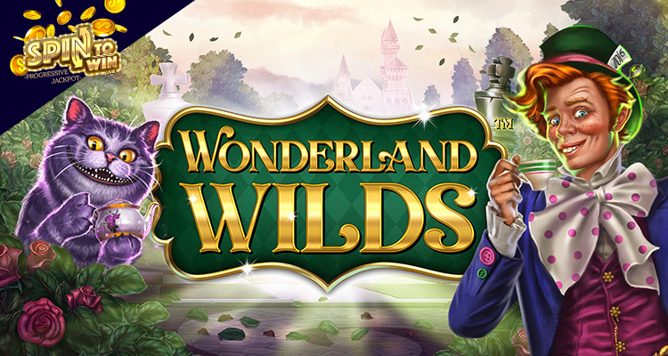 Скриншот слота Magic Wilds от Red Rake Gaming