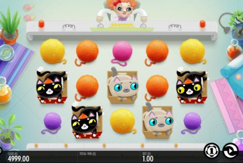 Скриншот слота Not Enough Kittens от Thunderkick