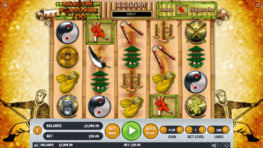 Скриншот слота Shaolin Twins от Spinmatic