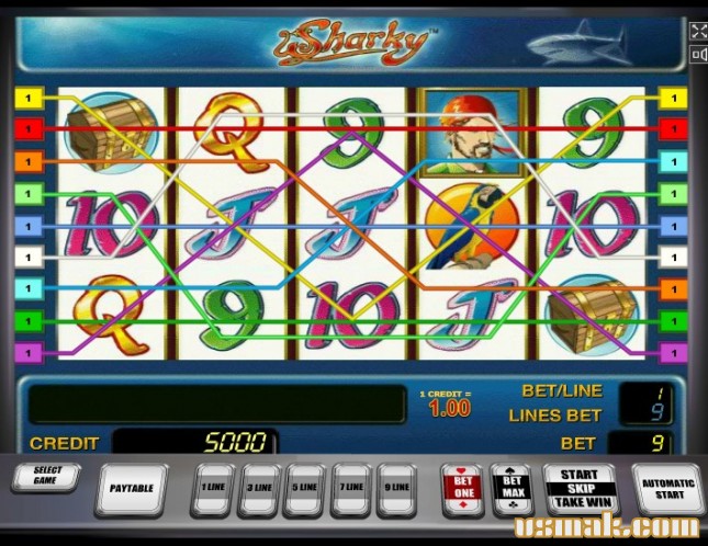 Скриншот слота Sharky от Novomatic