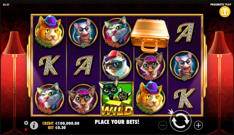 Скриншот слота The Catfather от Pragmatic Play