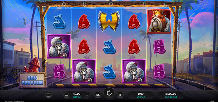 Игровое поле Top Dawg$