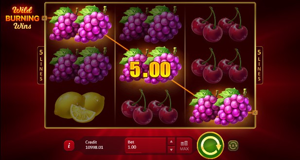 Скриншот слота Wild Burning Wins 5 Lines от Playson