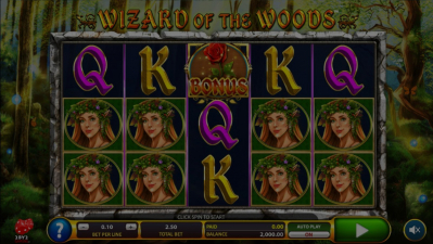 Скриншот слота Wizard of the Woods от 2by2 Gaming