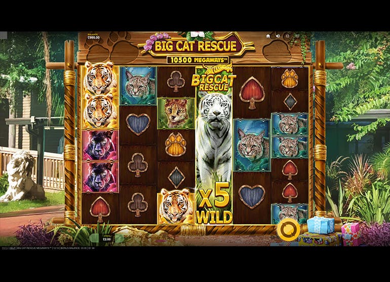 Скриншот слота Big Cat Rescue MegaWays от Skywind Group