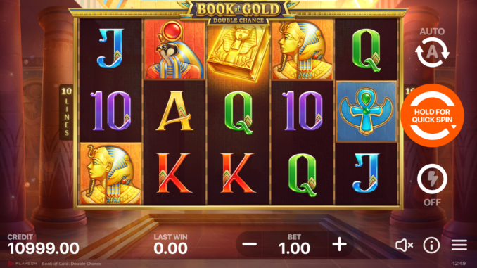 Скриншот слота Book of Gold: Double Chance от Playson