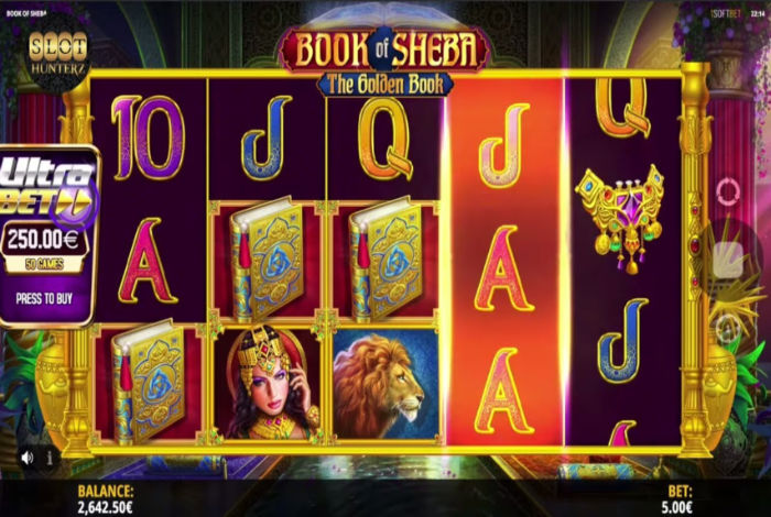 Скриншот слота Book Of Sheba от SYNOT Games