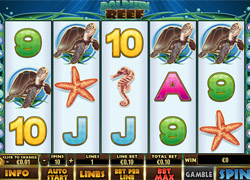 Скриншот слота Dolphin Delight от Skywind Group