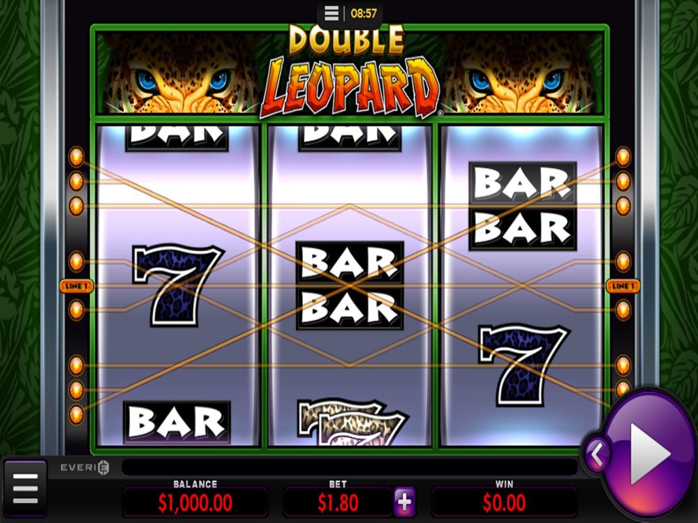 Скриншот слота Double Leopard от Everi
