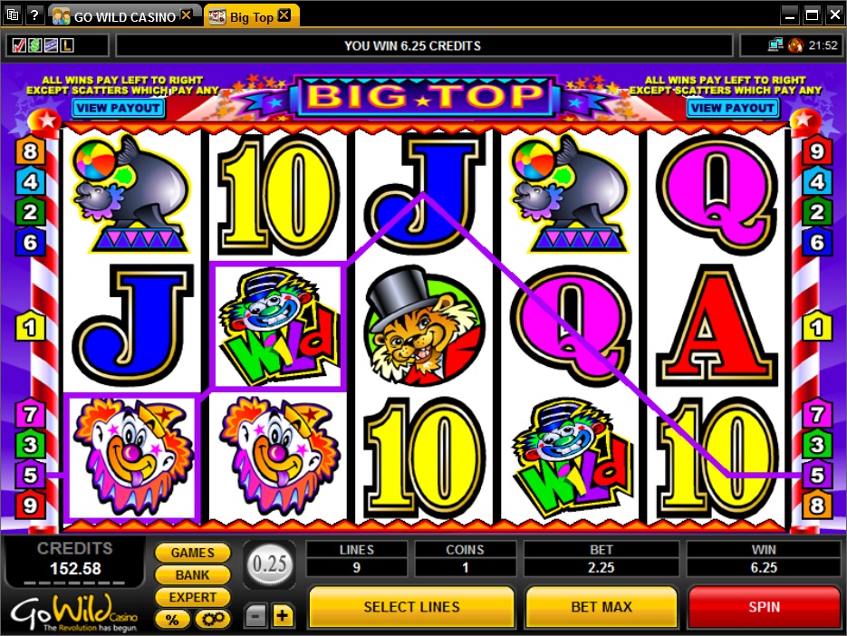 Скриншот слота Go Wild от Gamzix