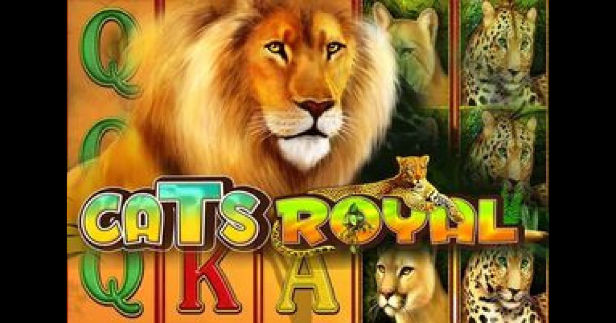 Скриншот слота Cats Royal от Amusnet Interactive